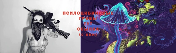 стаф Михайлов