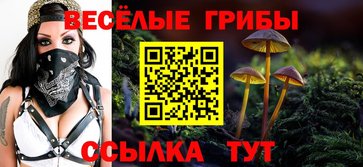 Галлюциногенные грибы Magic Shrooms  Вход с VPN  Камышлов 
